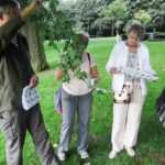 Tree ID event Milnrow Park