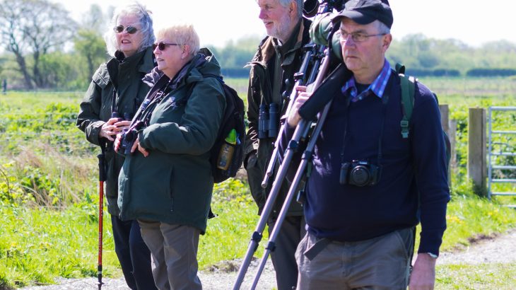 Birdwatching