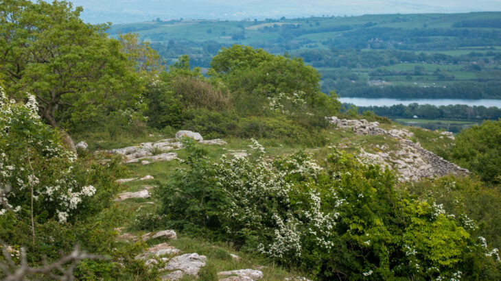Limestone pavement at Warton Crag