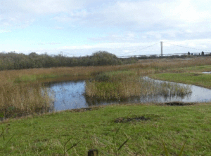 Far Ings NNR